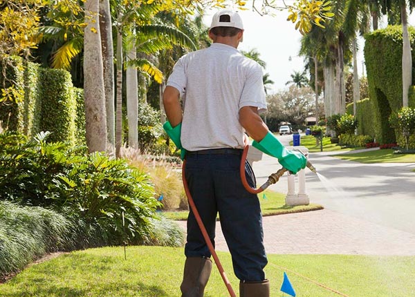 About Brownville NY Pest Control